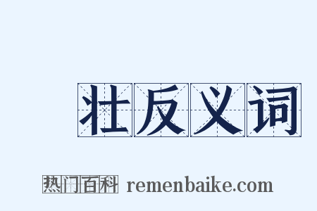 靘壮反义词是什么意思的图片